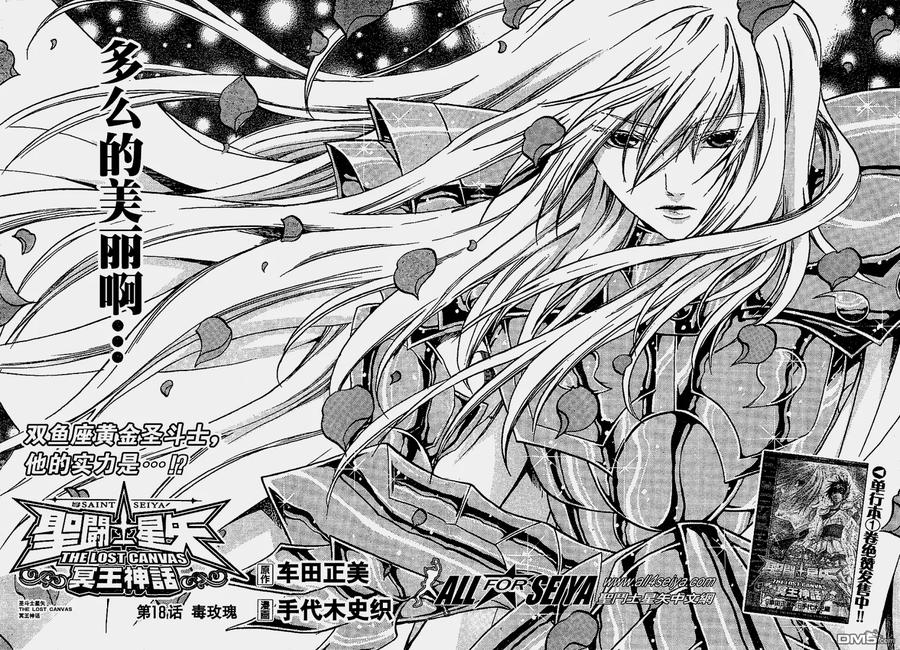 第17-18话-圣斗士星矢 冥王神话-手代木史织（第19张）