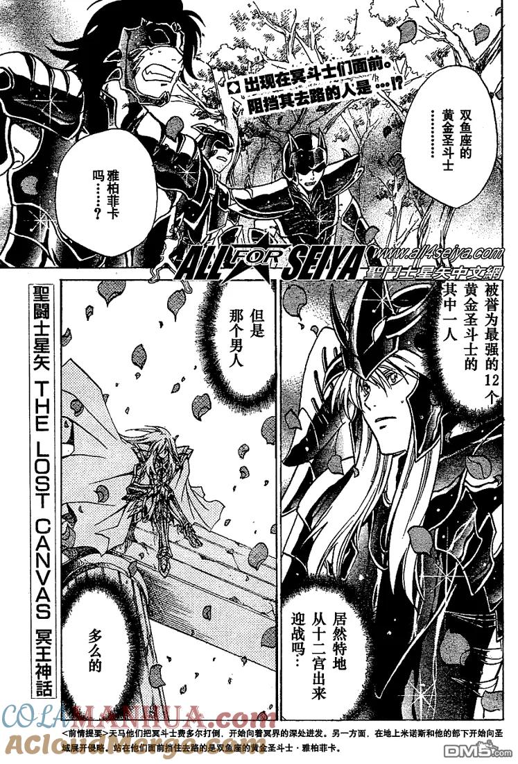 第17-18话-圣斗士星矢 冥王神话-手代木史织（第18张）