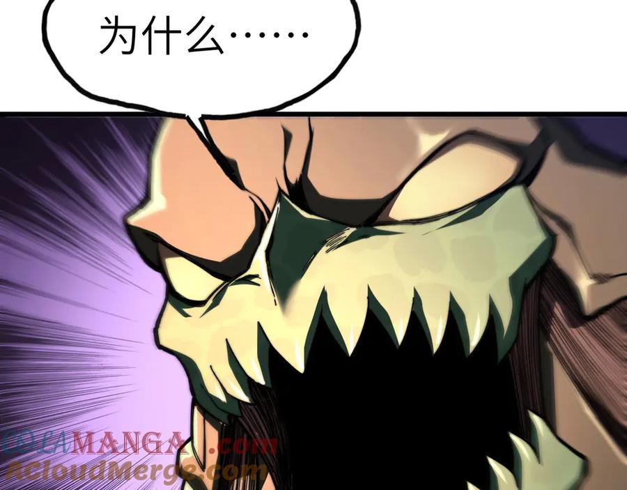 245.jpg