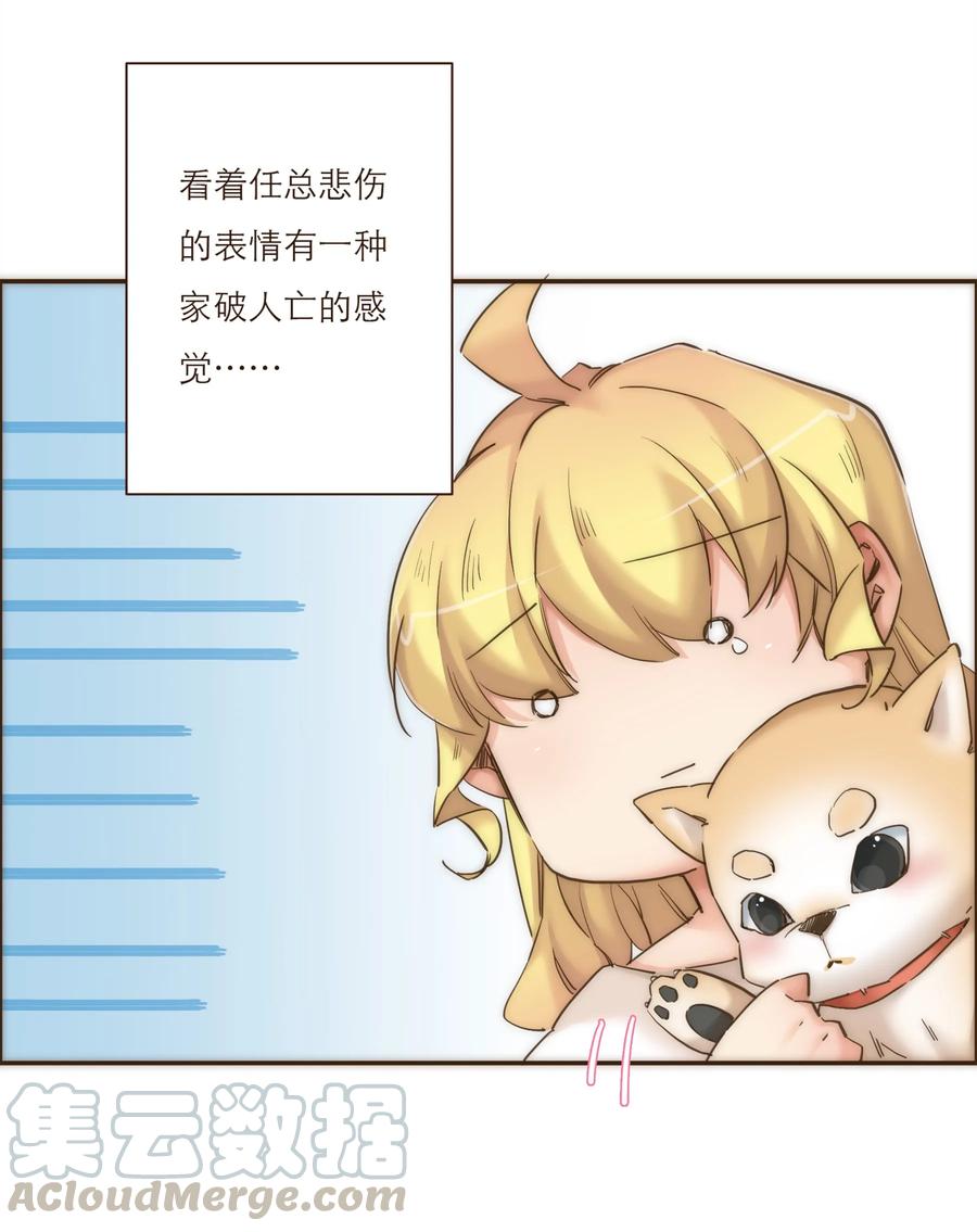 21.jpg