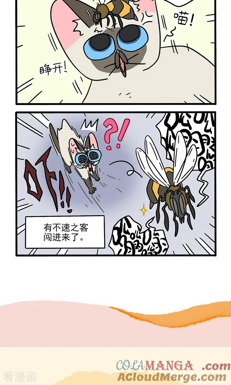 番外17上默默的一天1-阿满和麦茶-新漫画 日胖大海寺（第6张）