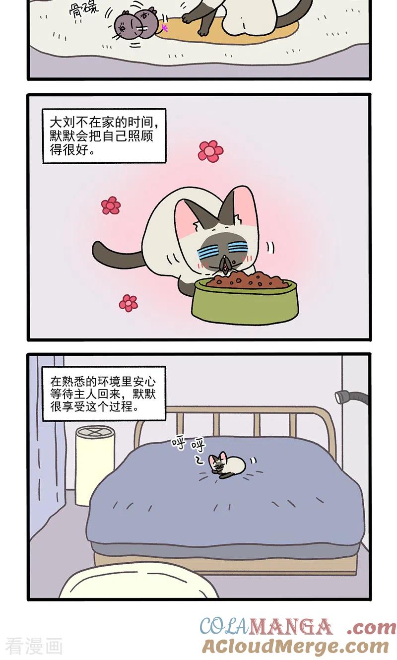 番外17上默默的一天1-阿满和麦茶-新漫画 日胖大海寺（第4张）