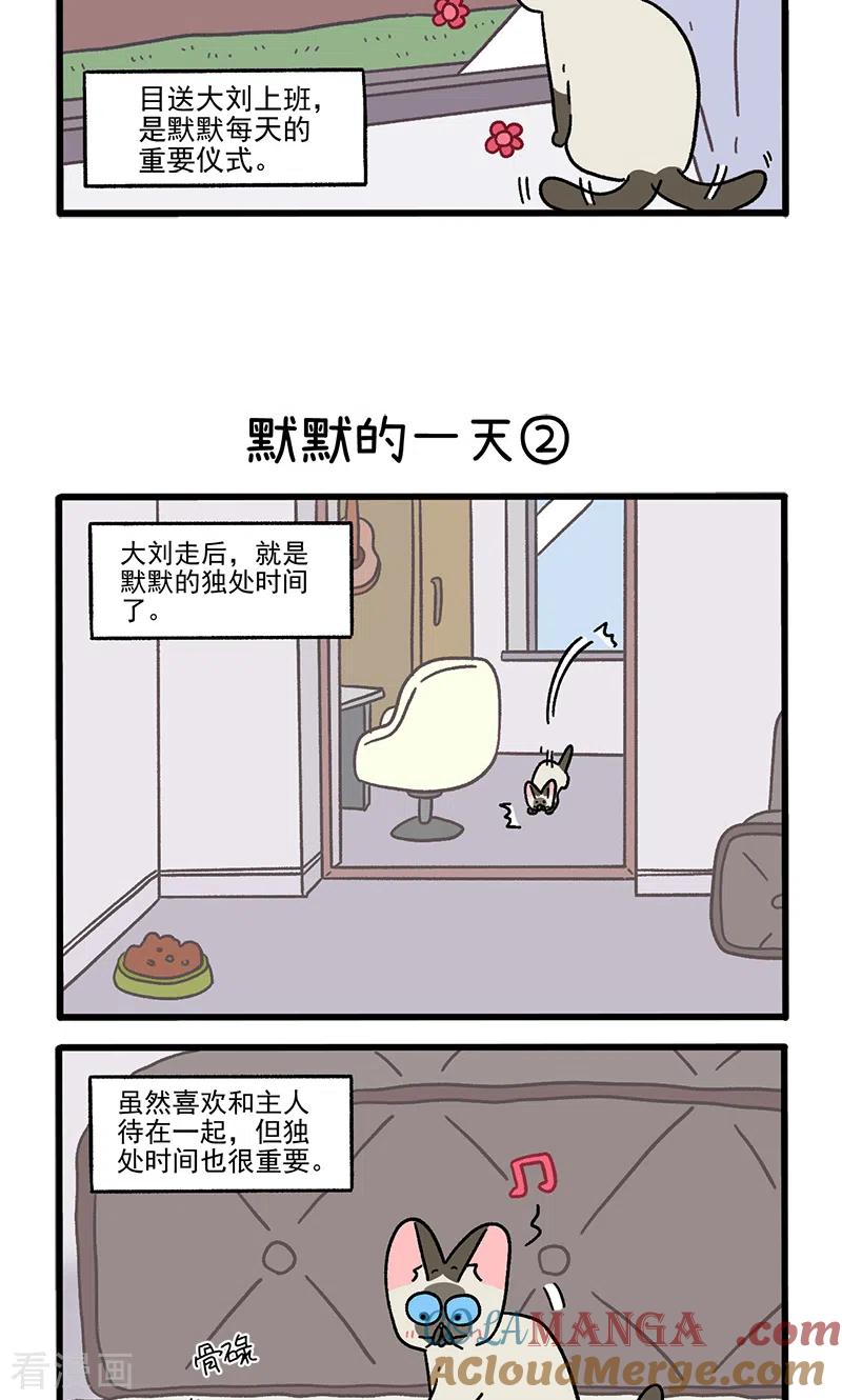 番外17上默默的一天1-阿满和麦茶-新漫画 日胖大海寺（第3张）