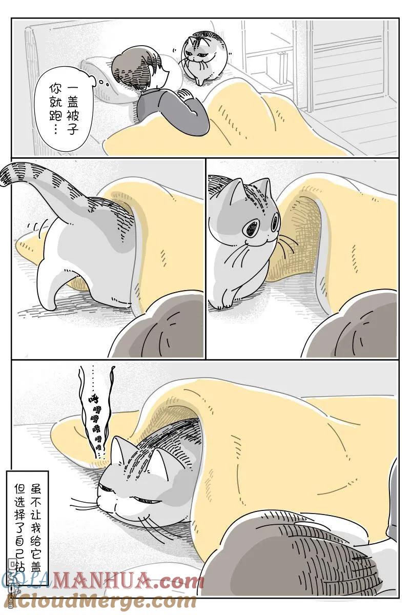 第155话-关于养猫我一直是新手-キュルZ（第3张）