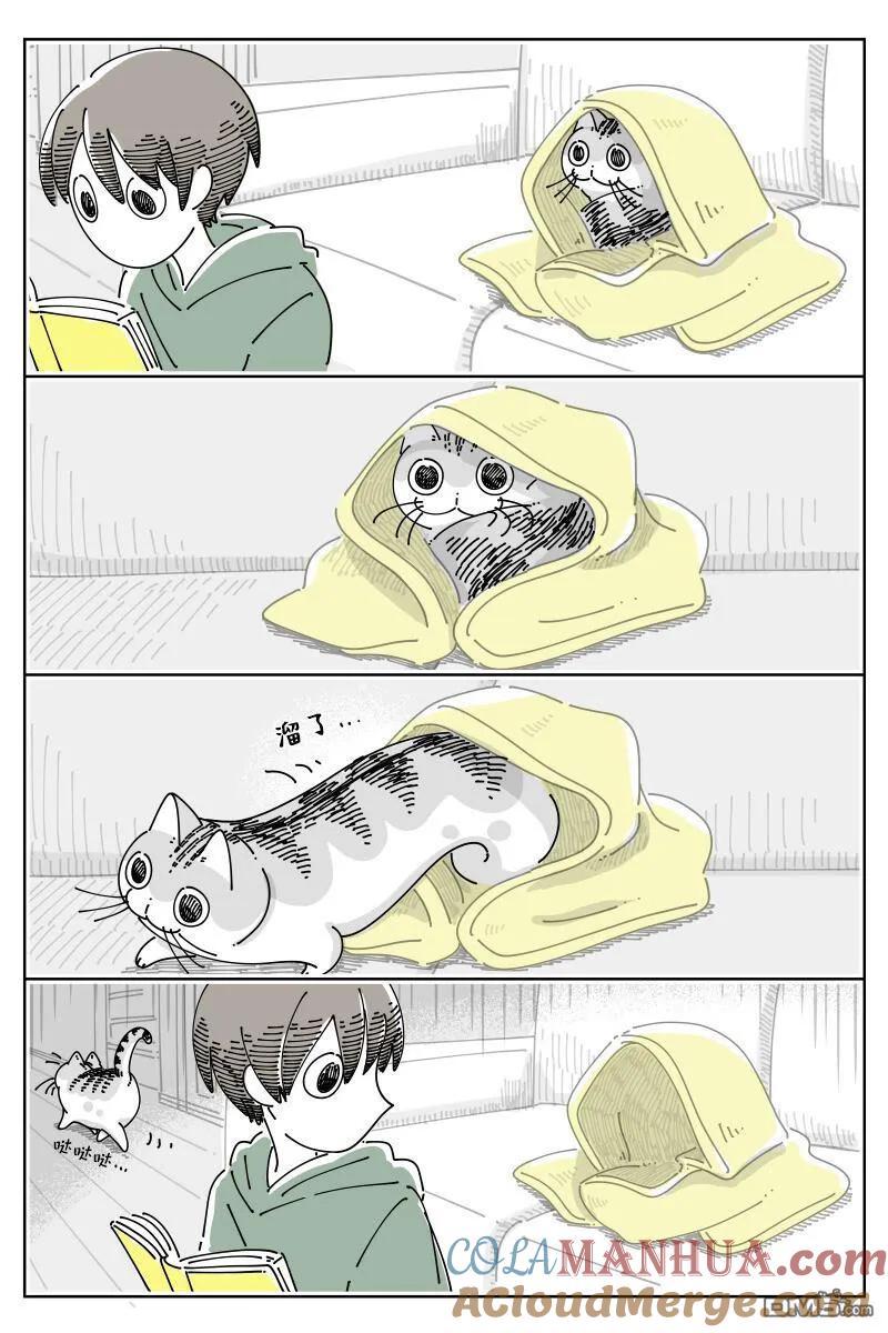 第155话-关于养猫我一直是新手-キュルZ（第1张）