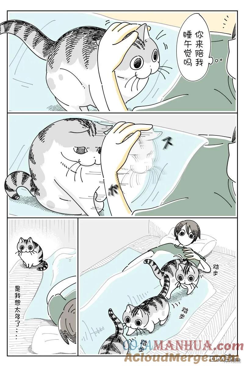 第180话-关于养猫我一直是新手-キュルZ（第1张）