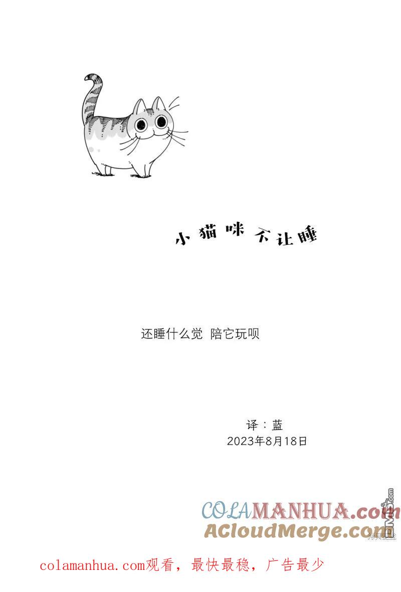 第180话-关于养猫我一直是新手-キュルZ（第3张）