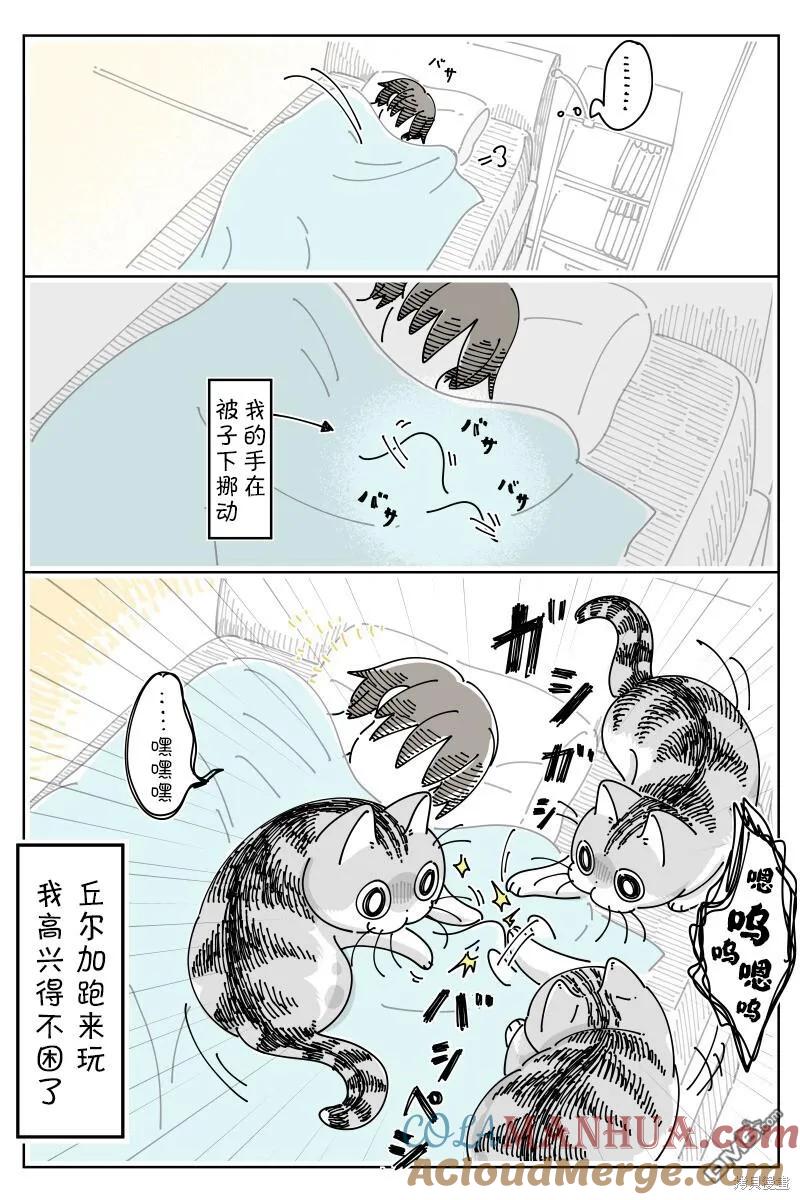 第180话-关于养猫我一直是新手-キュルZ（第2张）