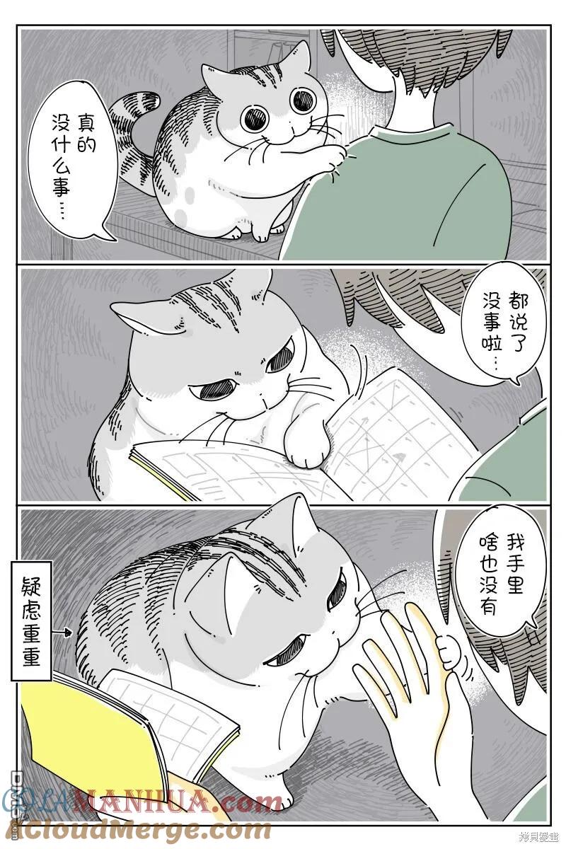 第181话-关于养猫我一直是新手-キュルZ（第2张）