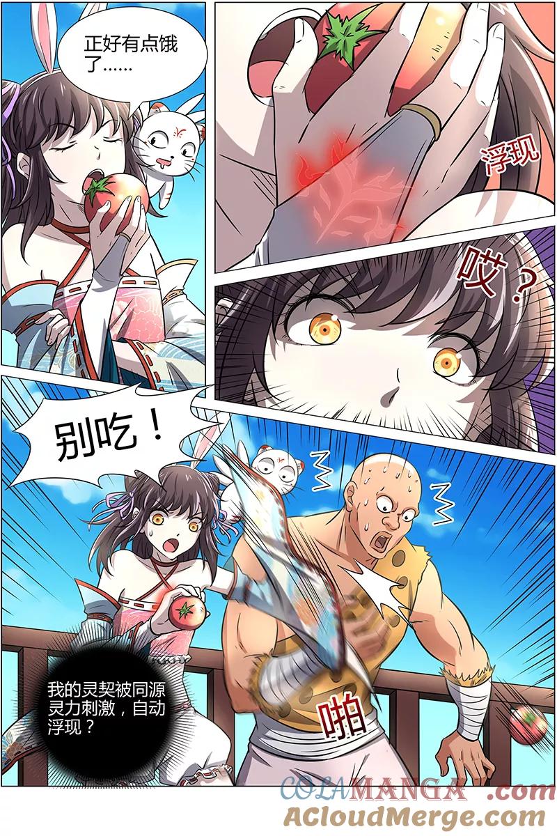4.jpg