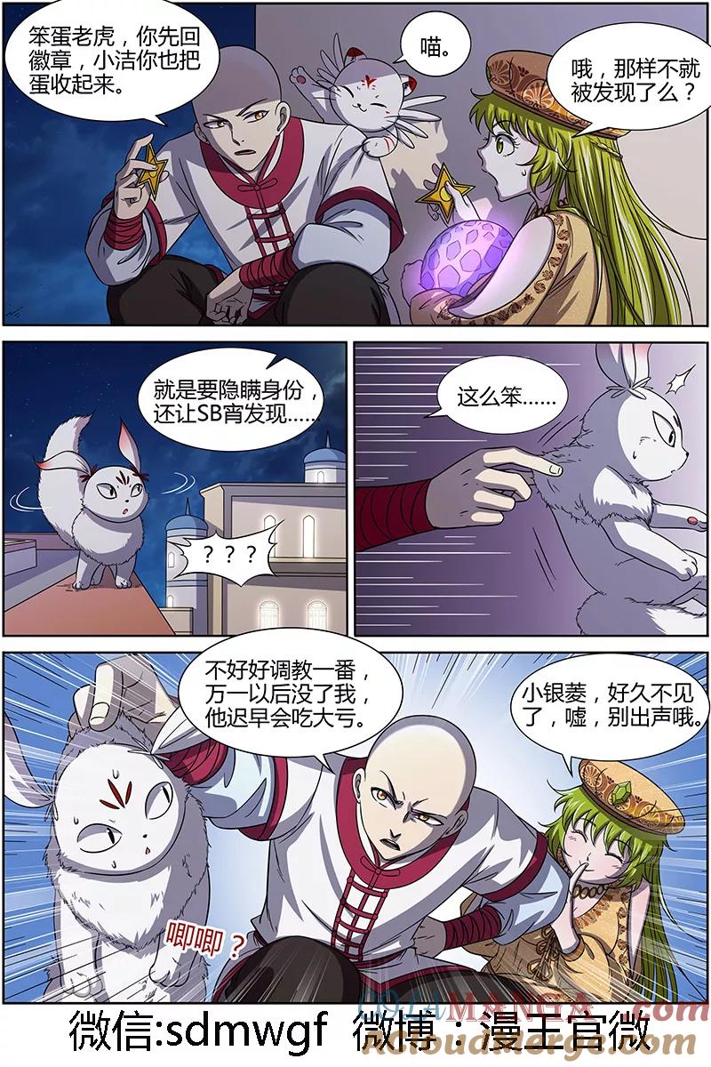 11.jpg