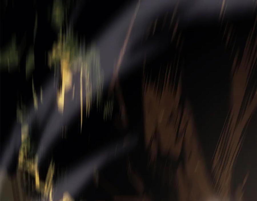 243.jpg
