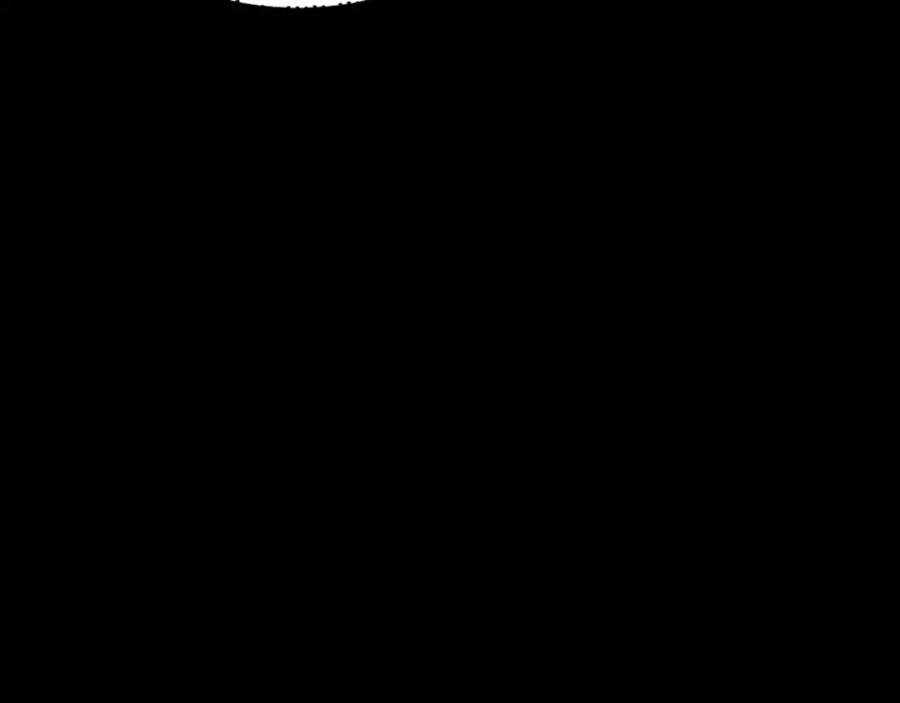 111.jpg