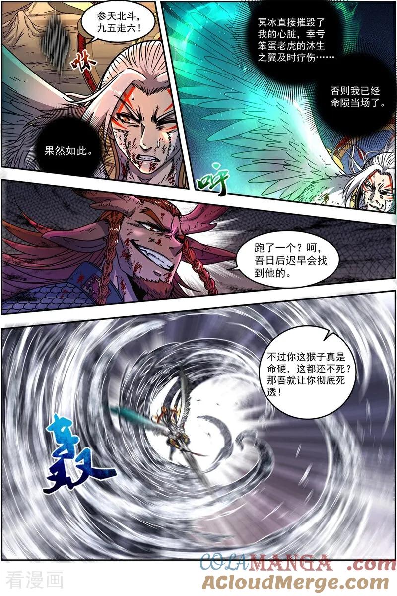 5.jpg