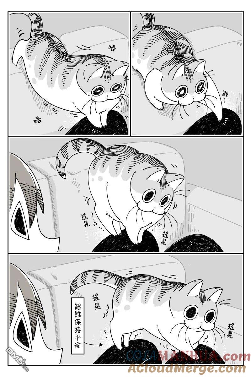第44话-关于养猫我一直是新手-キュルZ（第1张）