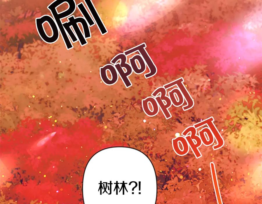 95.jpg