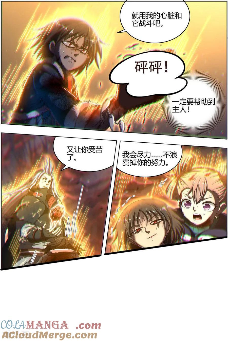 5.jpg