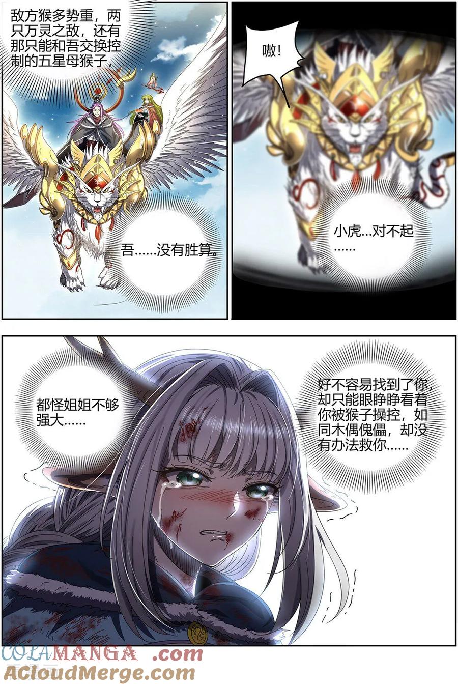 5.jpg