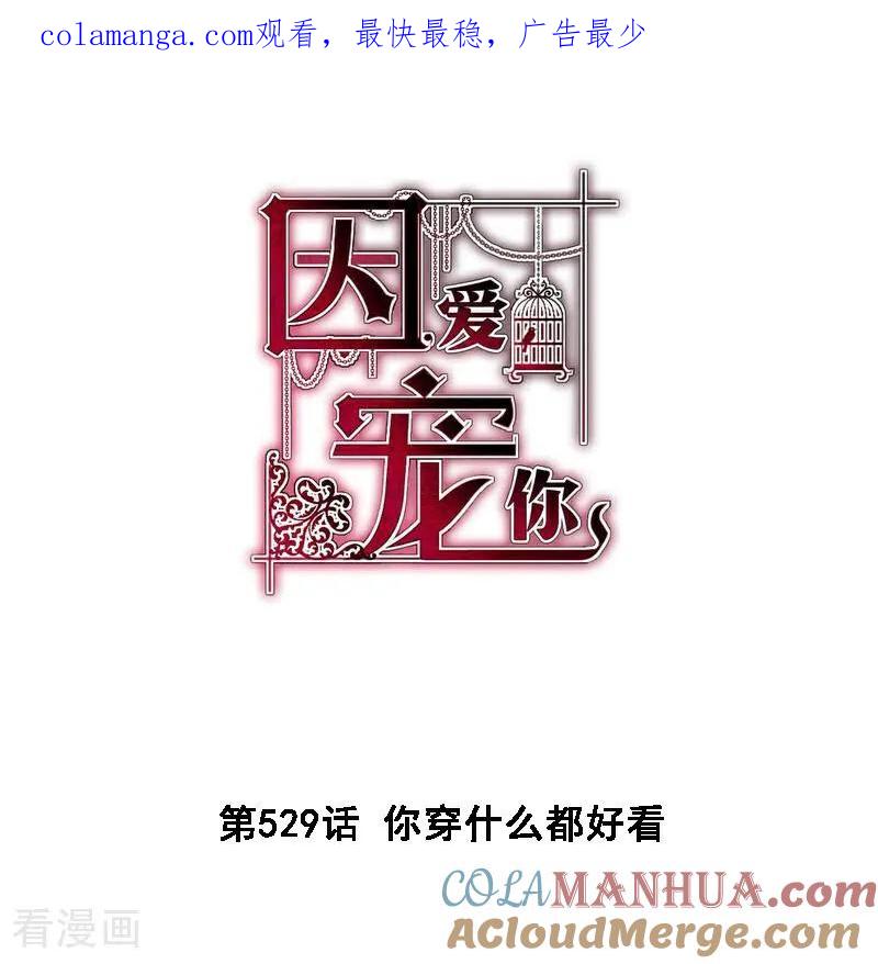 第529话-因爱宠你-极漫文化（第1张）