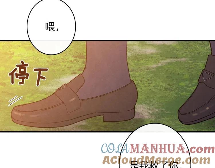 第54话不纯的目的-影子皇妃-kinlip+hayul+CARROTOON（第17张）