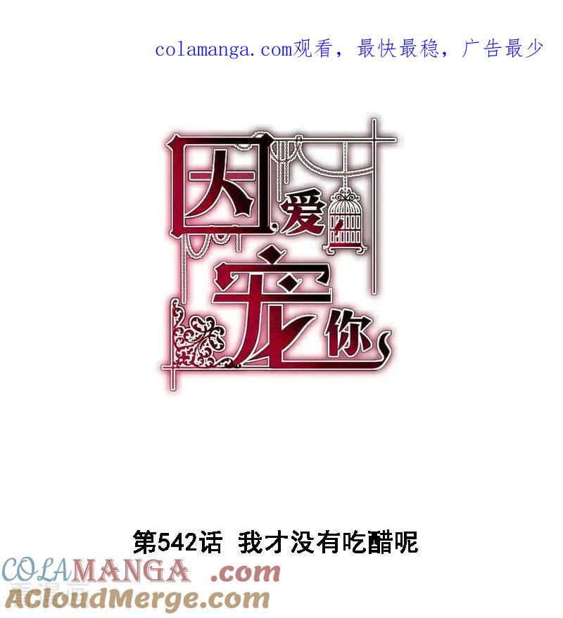第542话-因爱宠你-极漫文化（第1张）