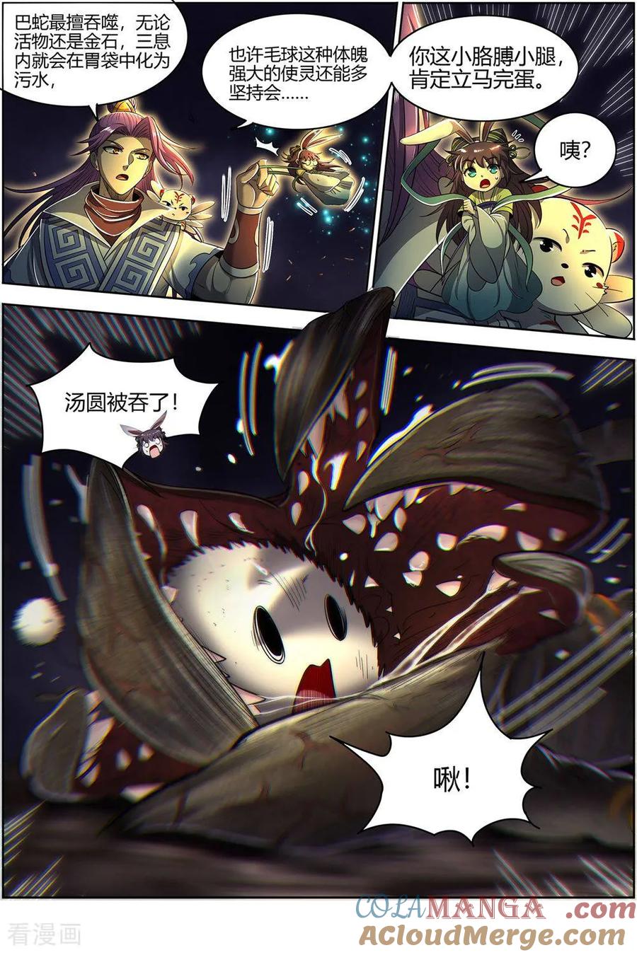 6.jpg
