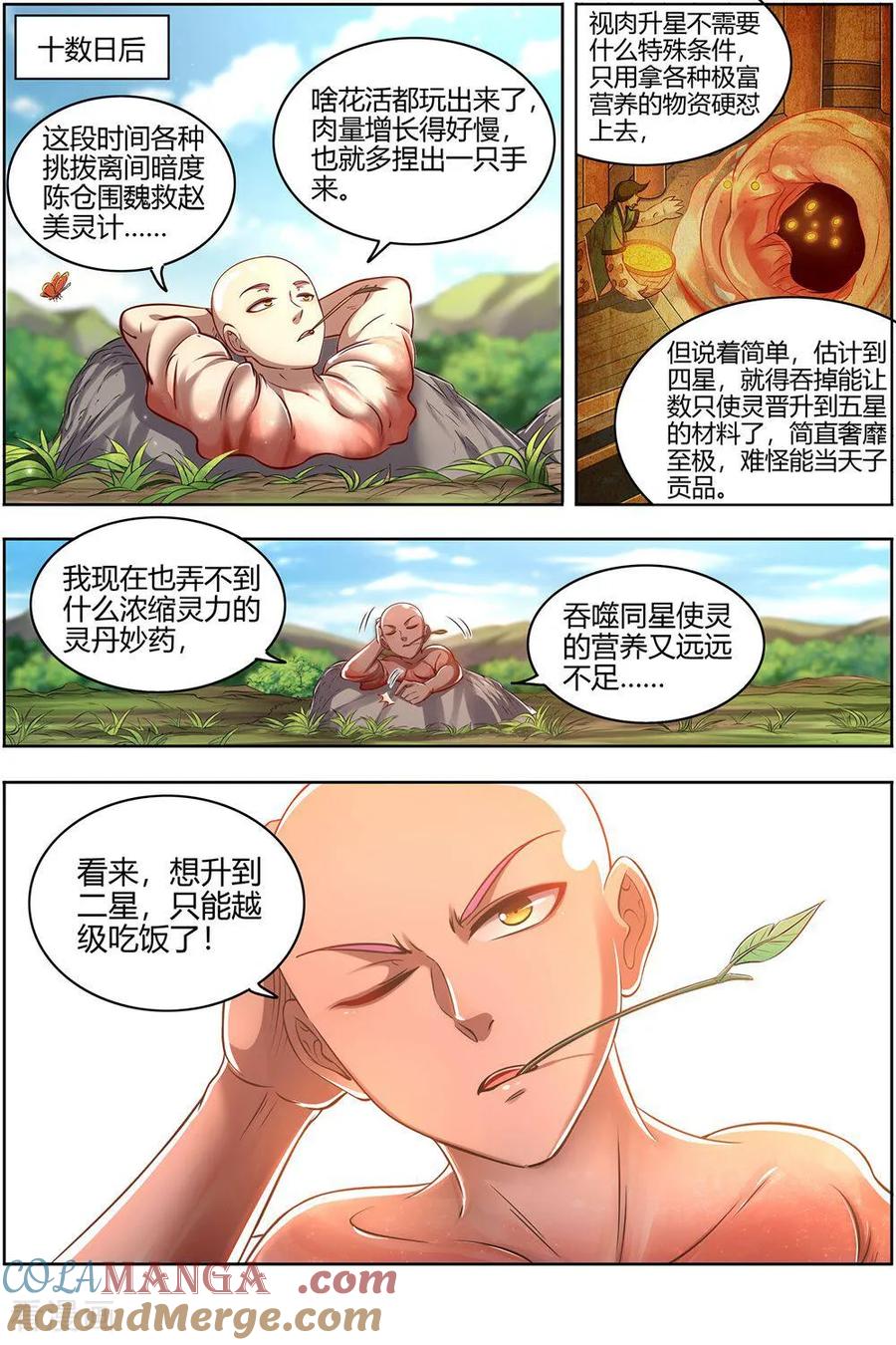 3.jpg