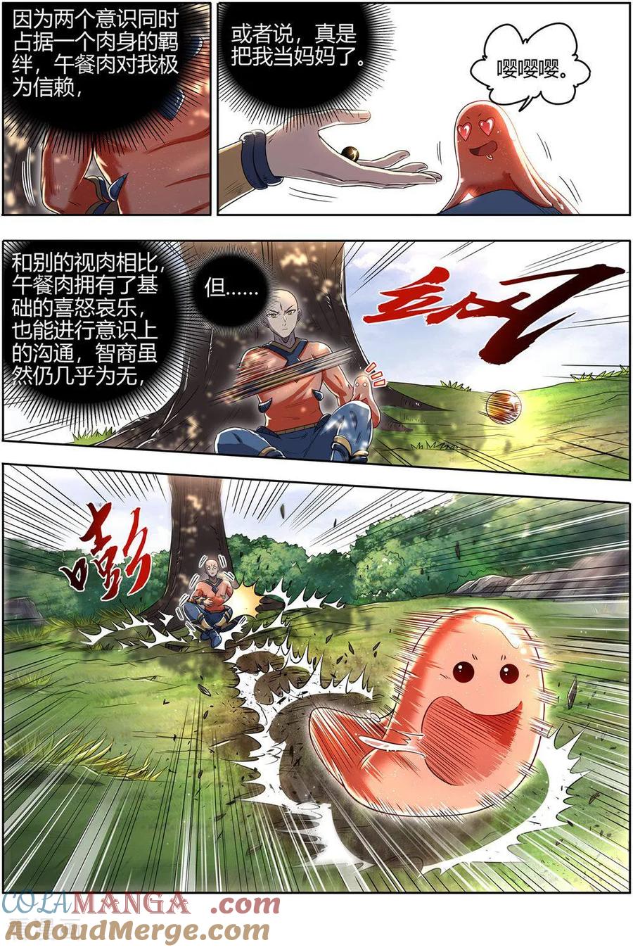 5.jpg