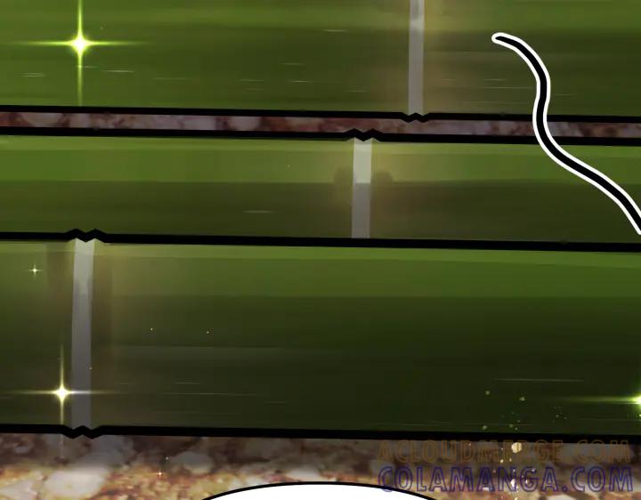 237.jpg