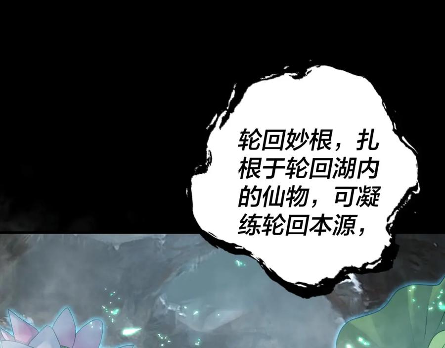 78.jpg