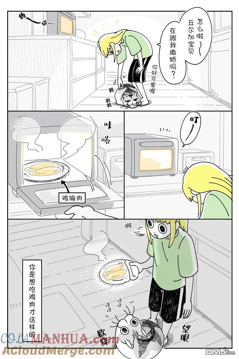 第76话-关于养猫我一直是新手-キュルZ（第2张）