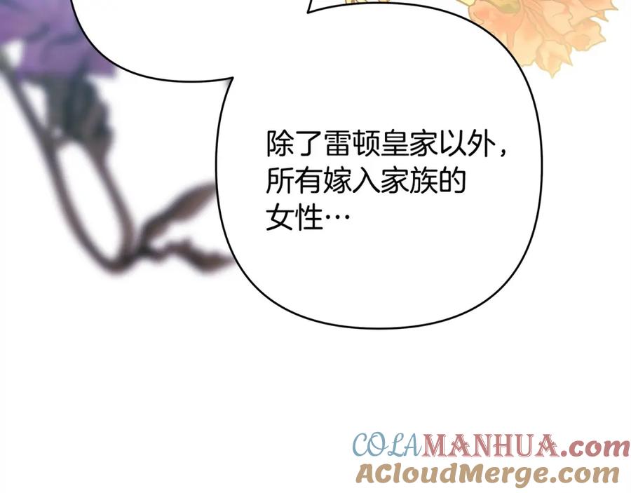 321.jpg