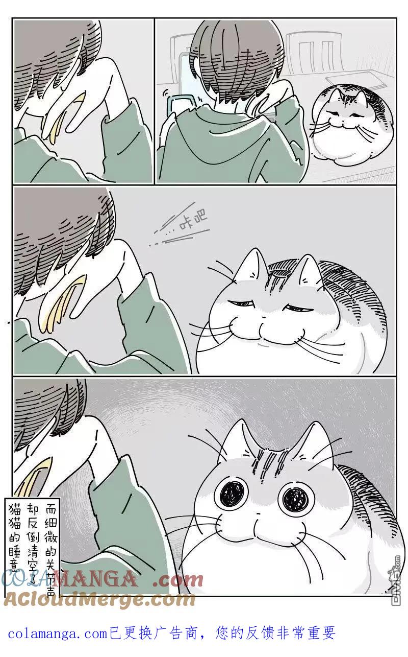 第267话-关于养猫我一直是新手-キュルZ（第2张）