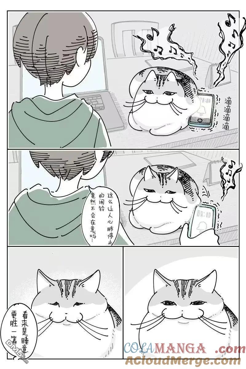 第267话-关于养猫我一直是新手-キュルZ（第1张）