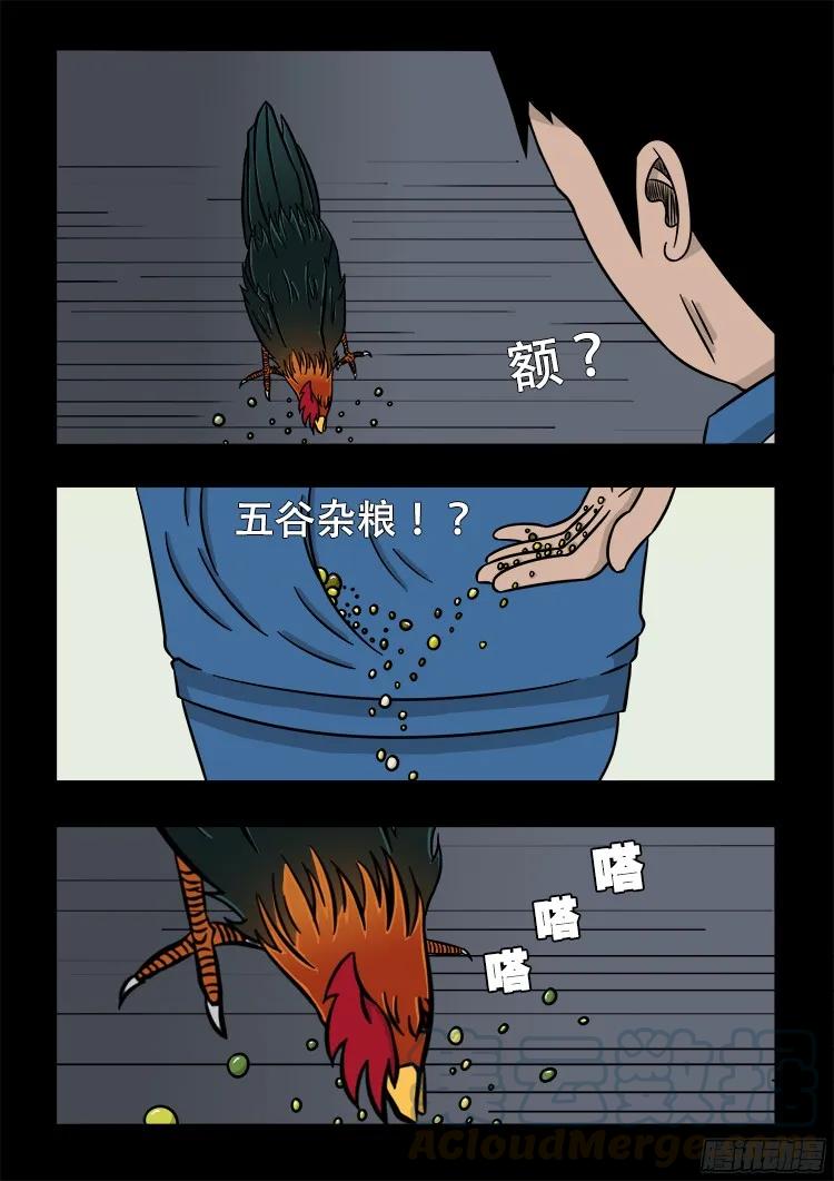 13.jpg