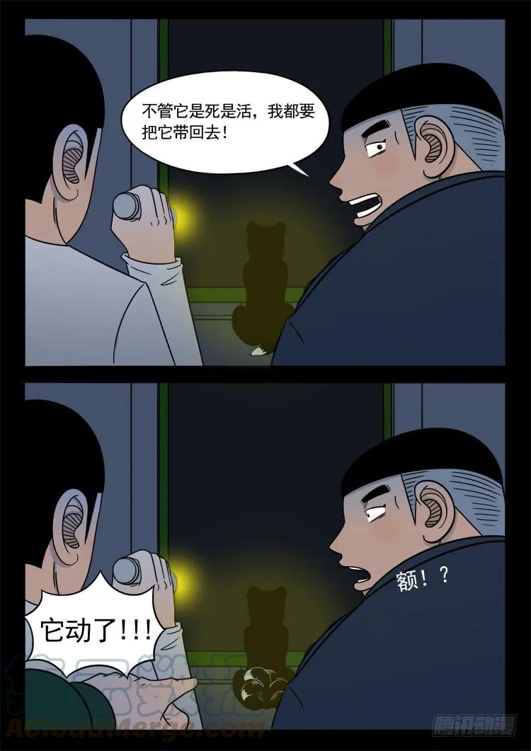 7.jpg