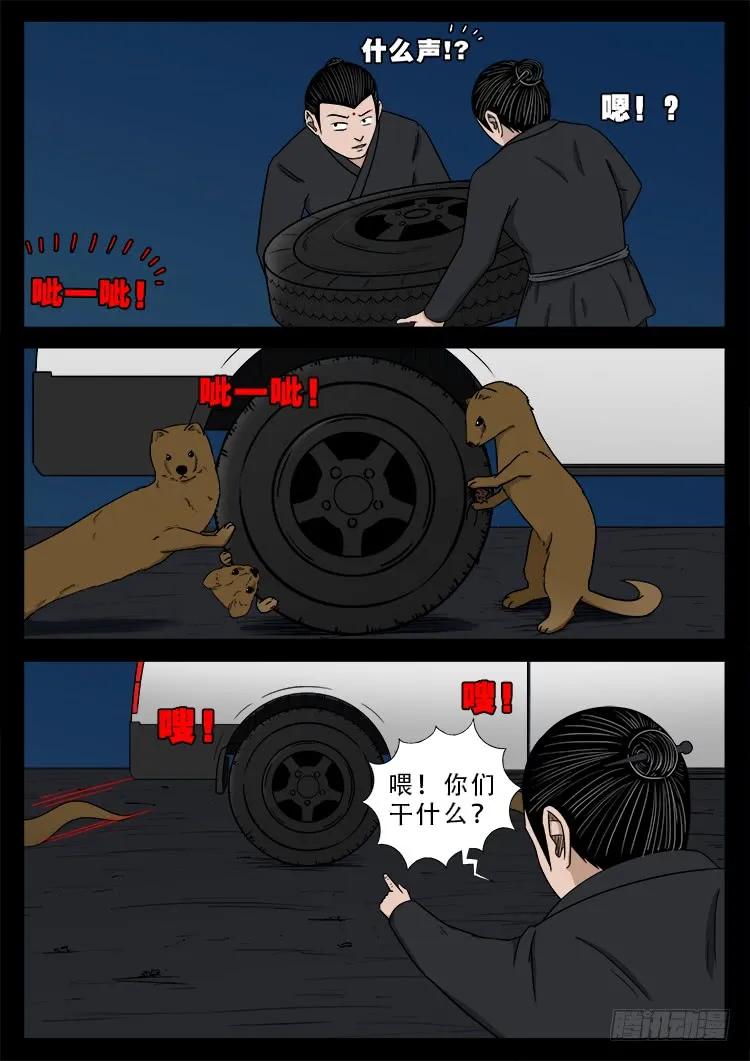 5.jpg