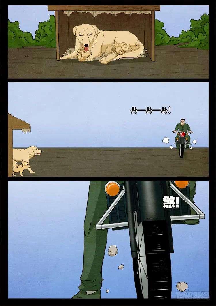 11.jpg