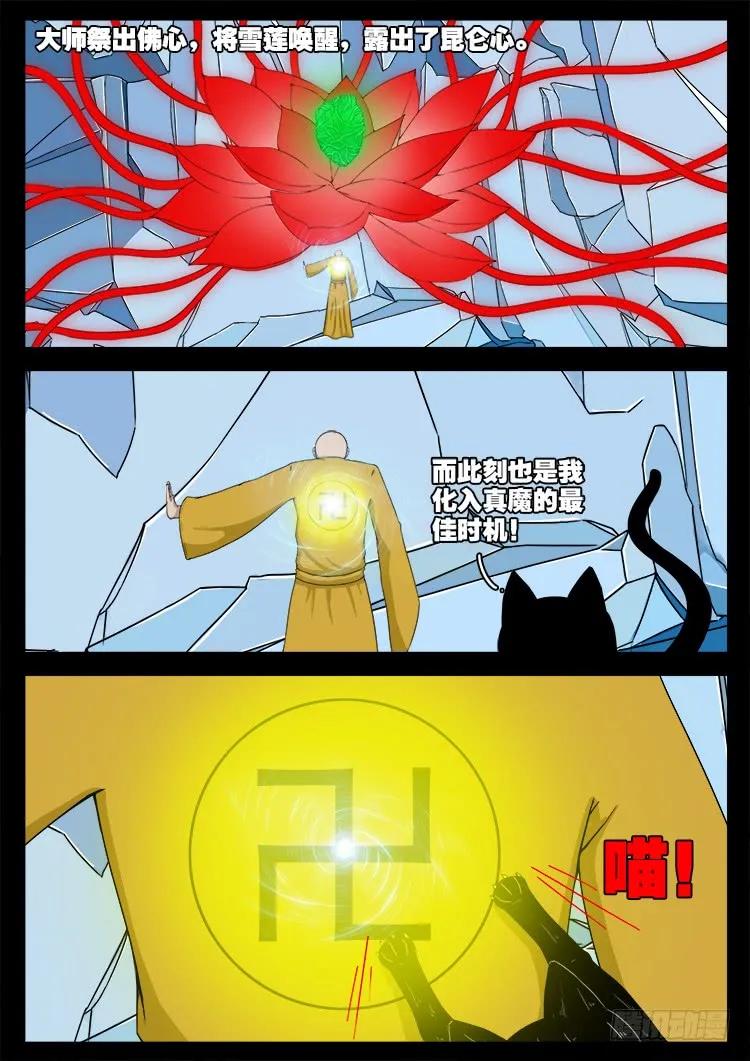 11.jpg