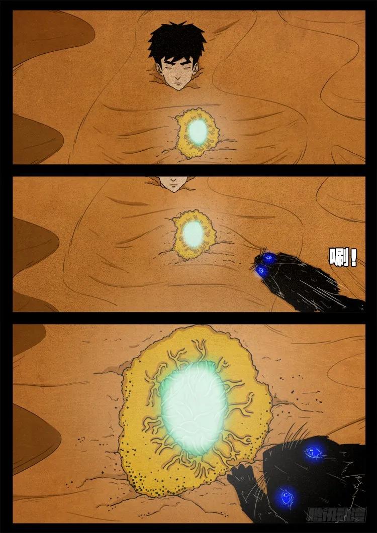 11.jpg