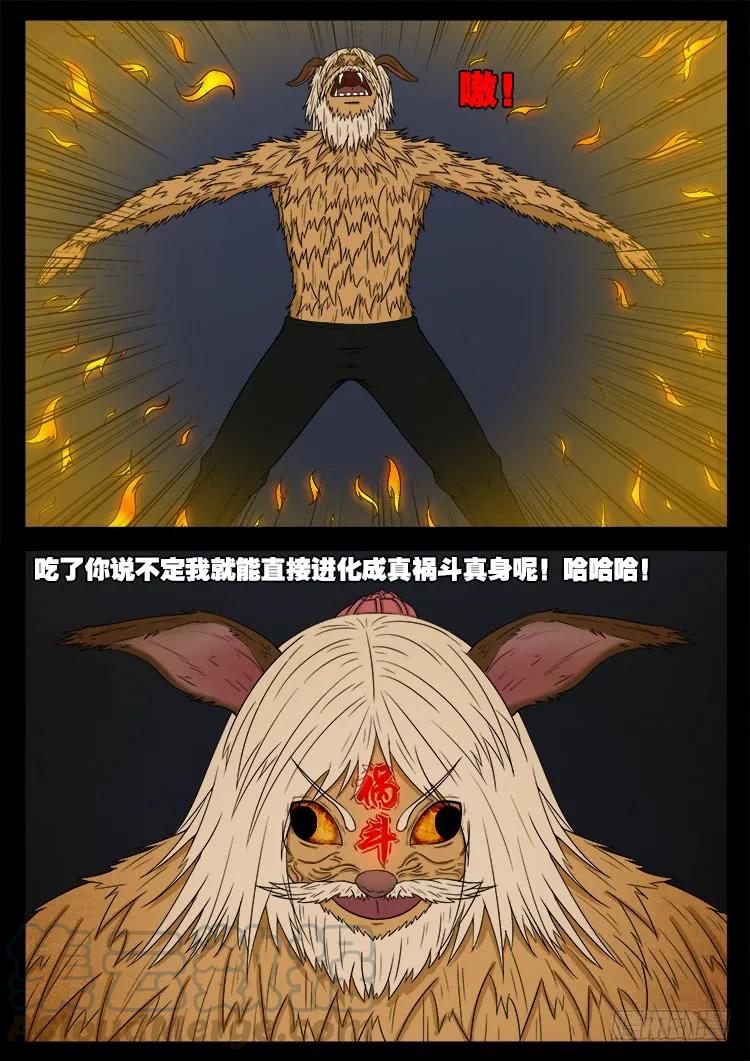 19.jpg