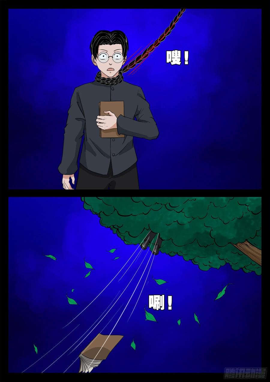 11.jpg