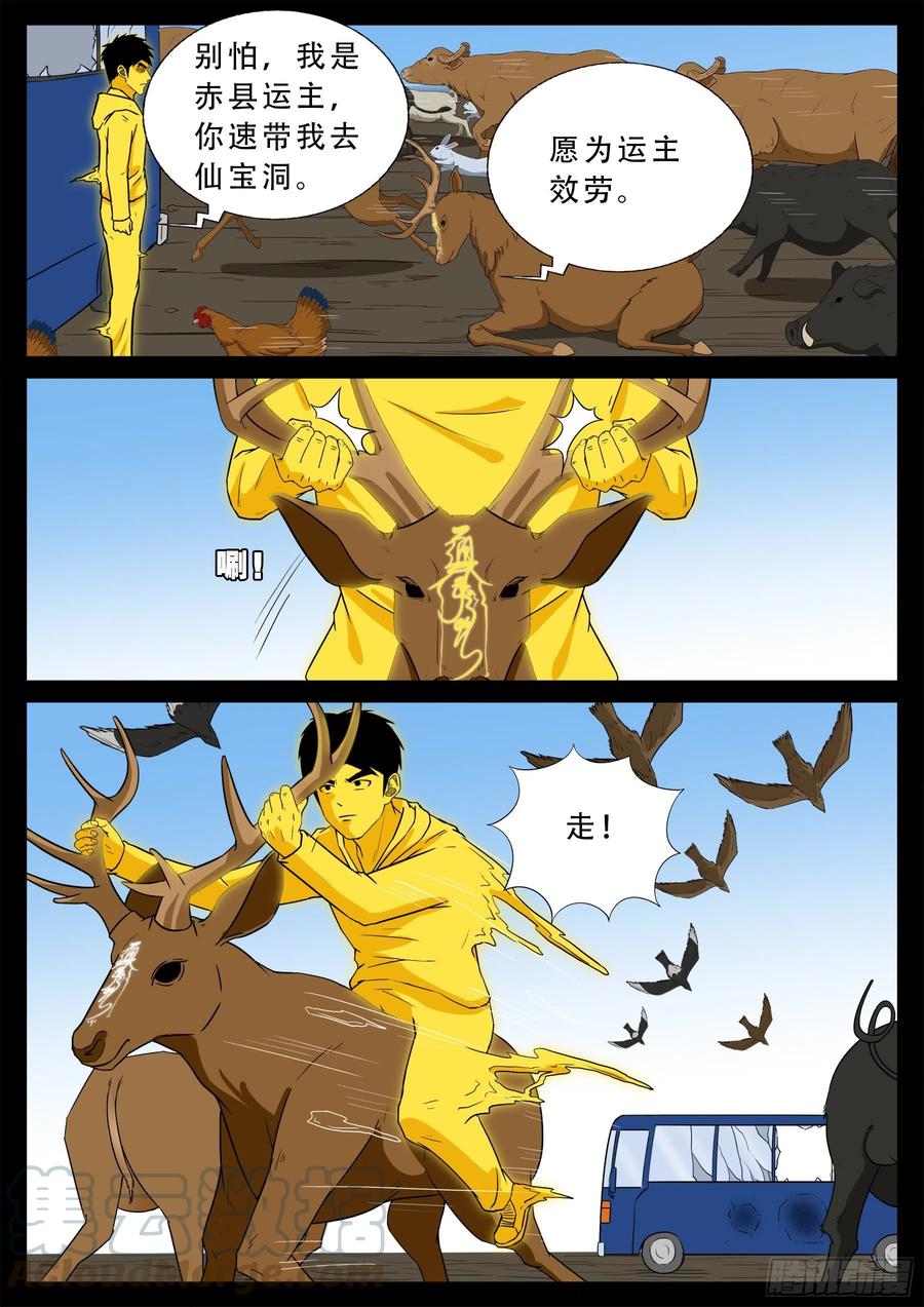 7.jpg