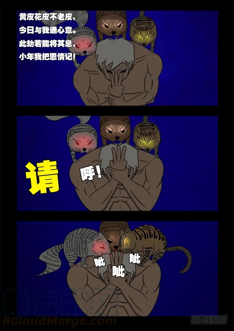 11.jpg