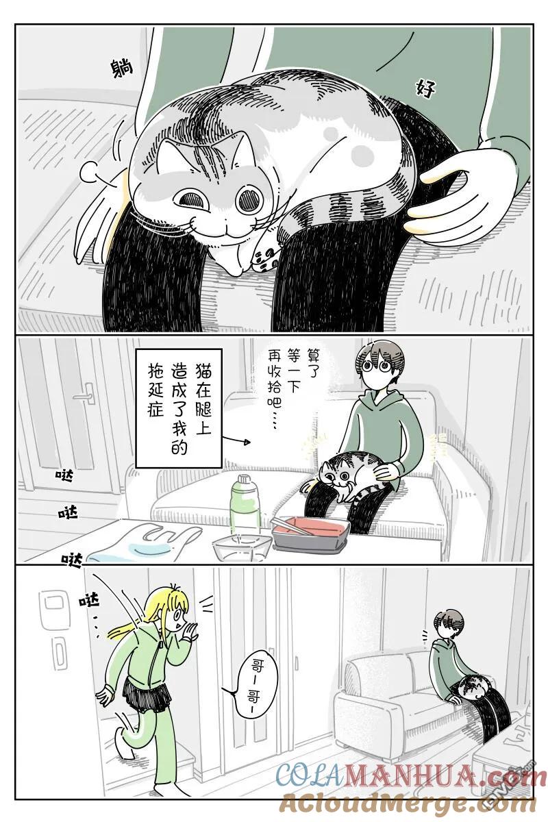 第166话-关于养猫我一直是新手-キュルZ（第1张）