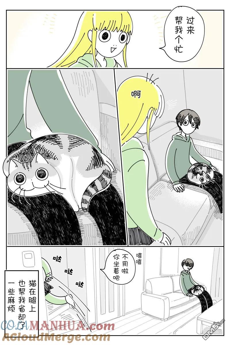 第166话-关于养猫我一直是新手-キュルZ（第2张）