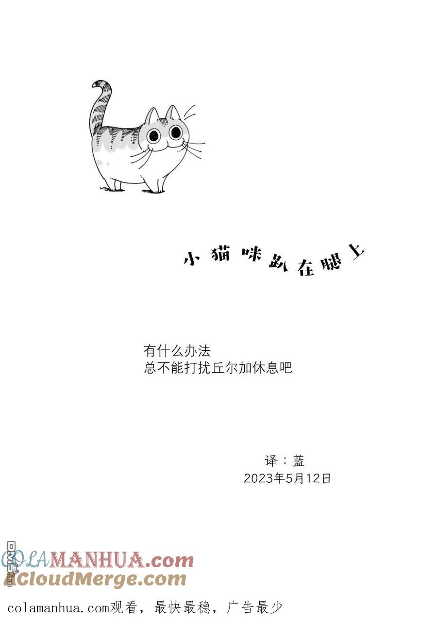 第166话-关于养猫我一直是新手-キュルZ（第3张）