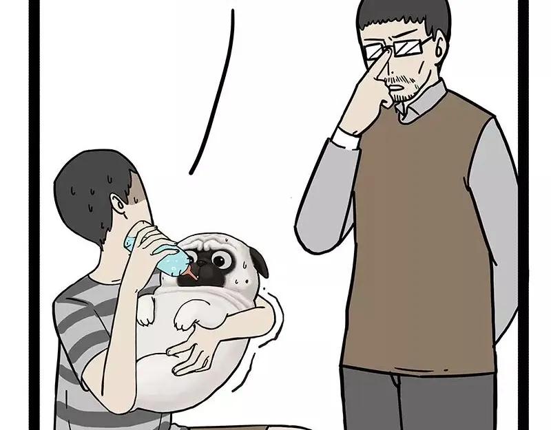 17.jpg