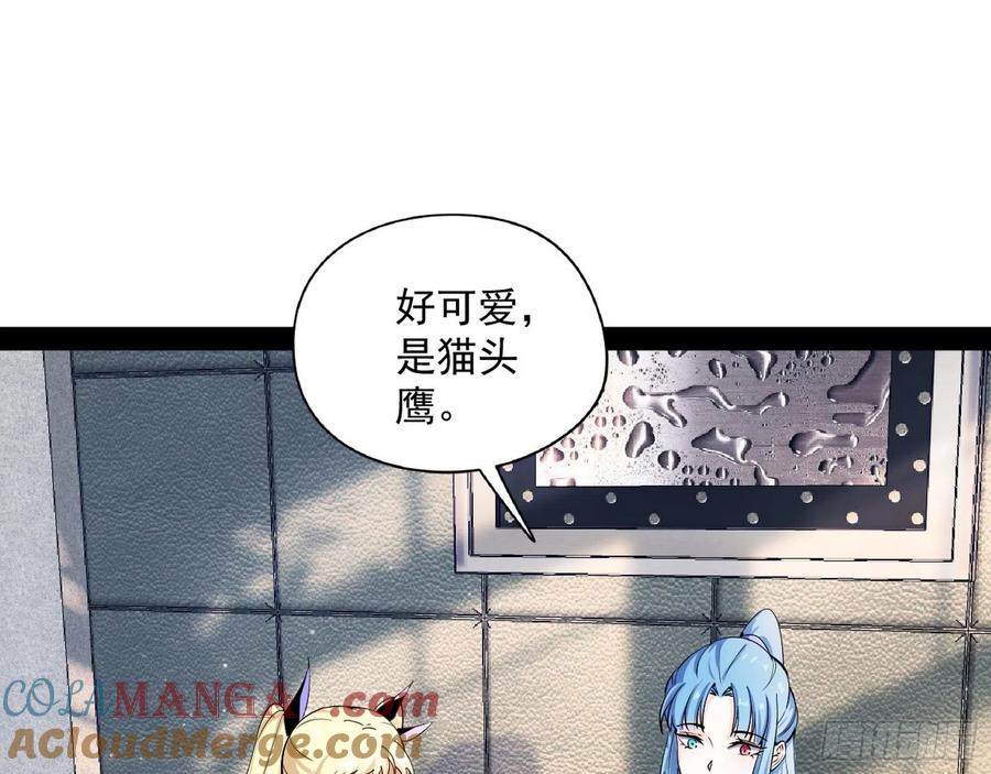 133.jpg