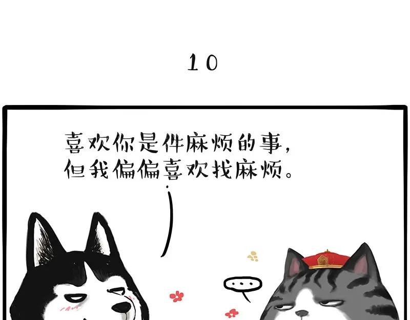 54.jpg